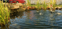 Gradina si lac ornamental cu sistem de iluminat